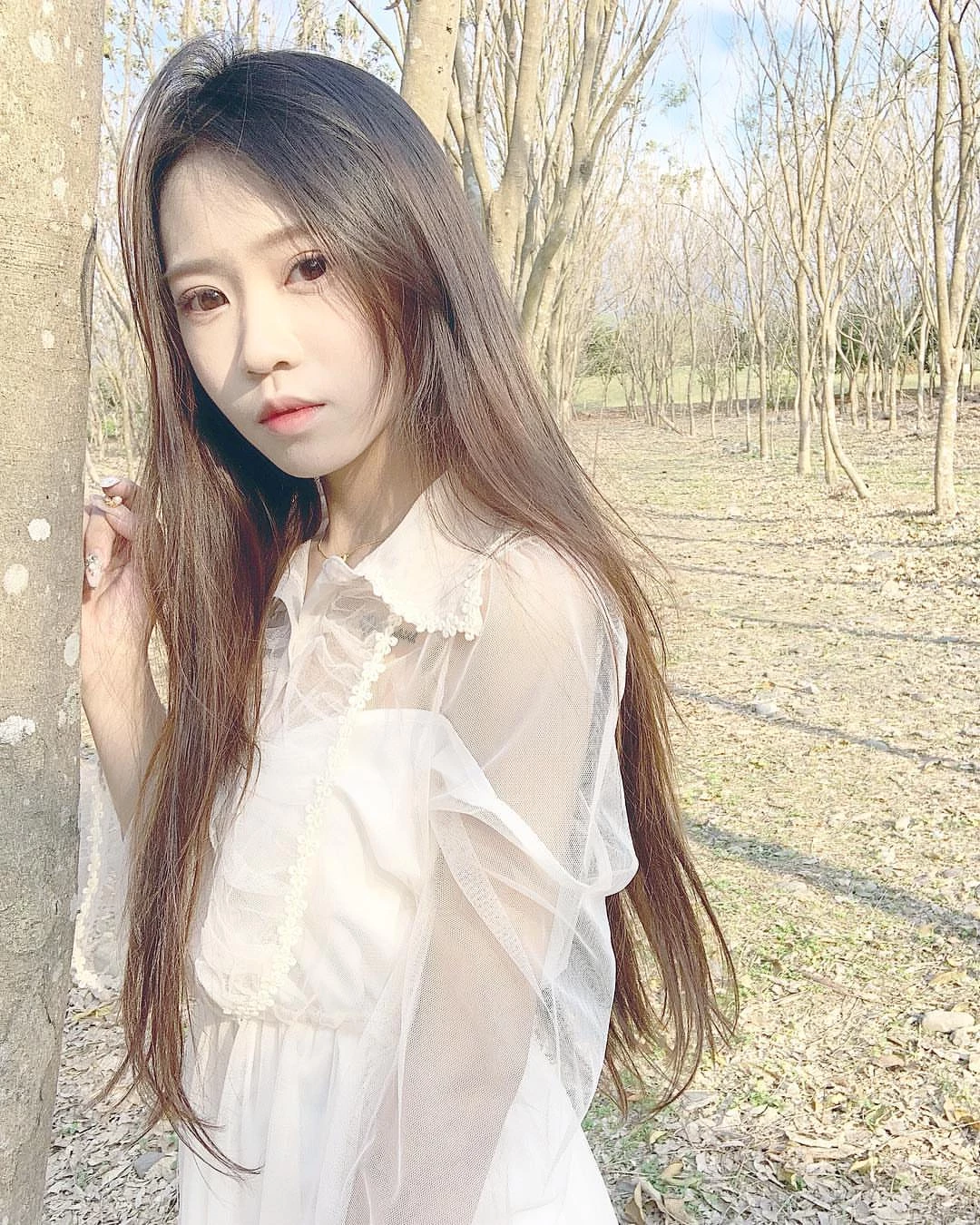 4309633.webp