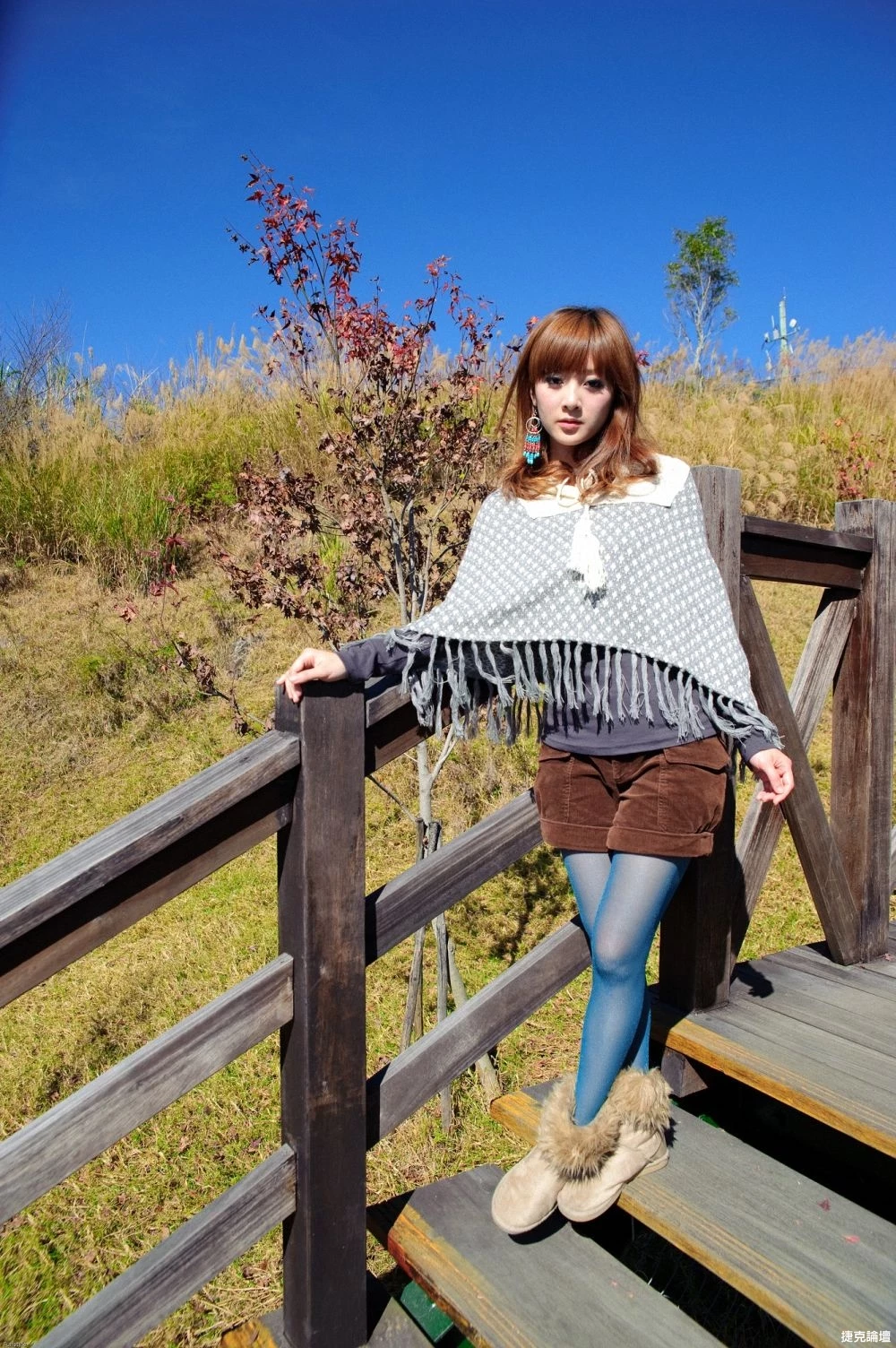 17516299.webp
