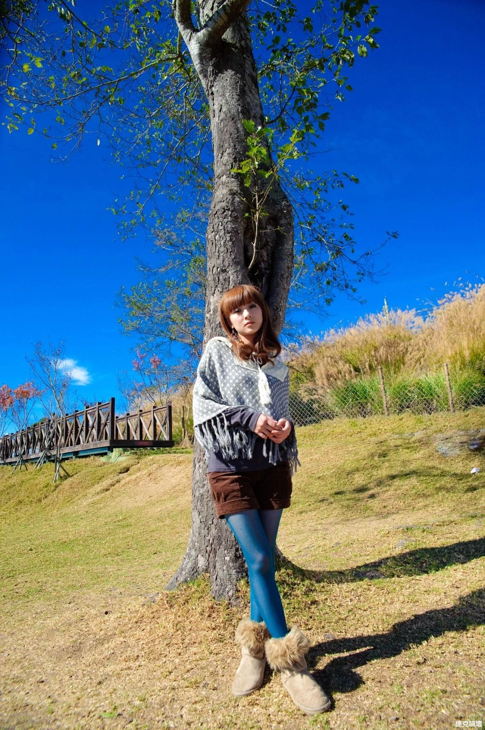 17516301.webp