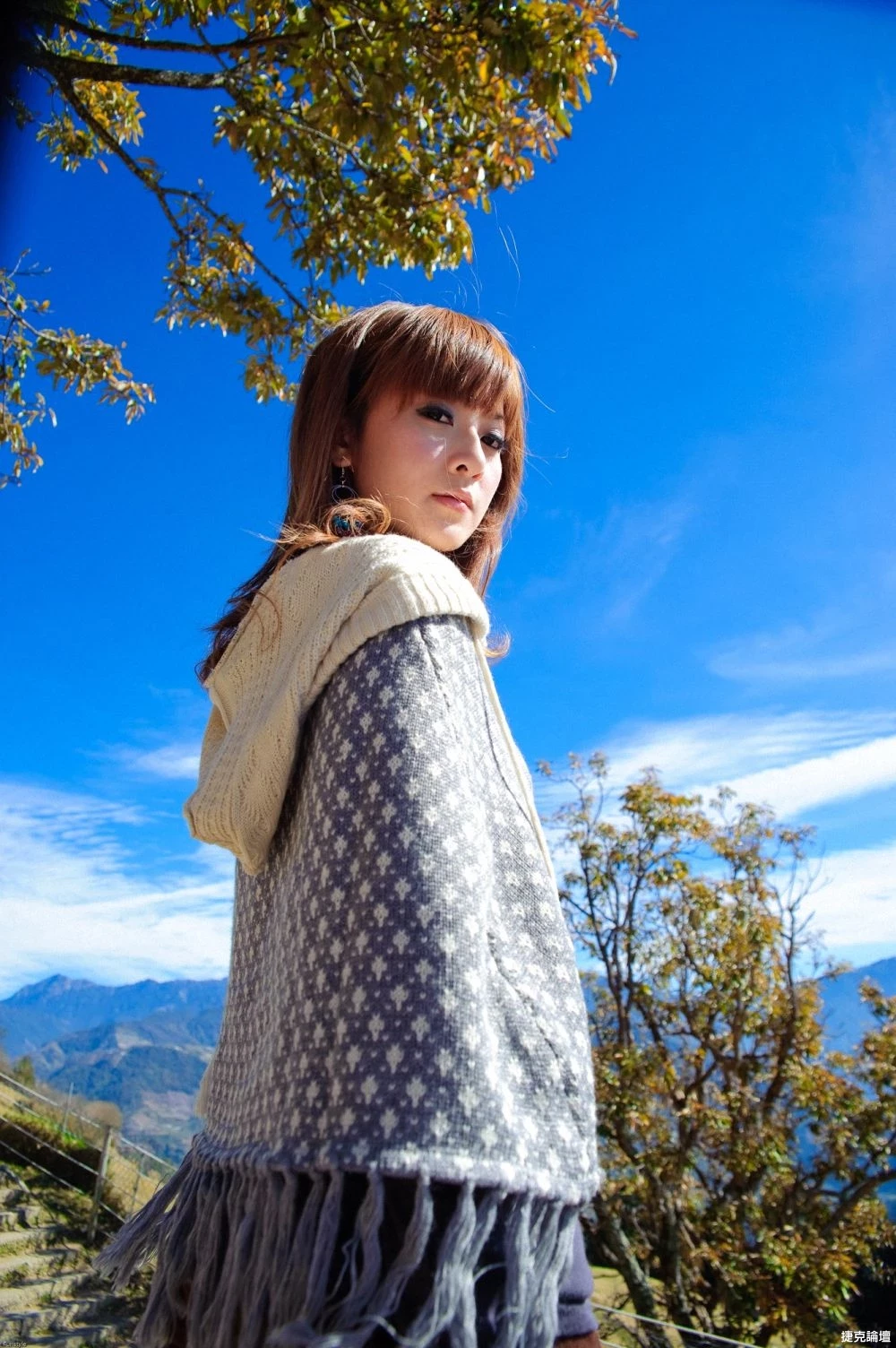17516319.webp