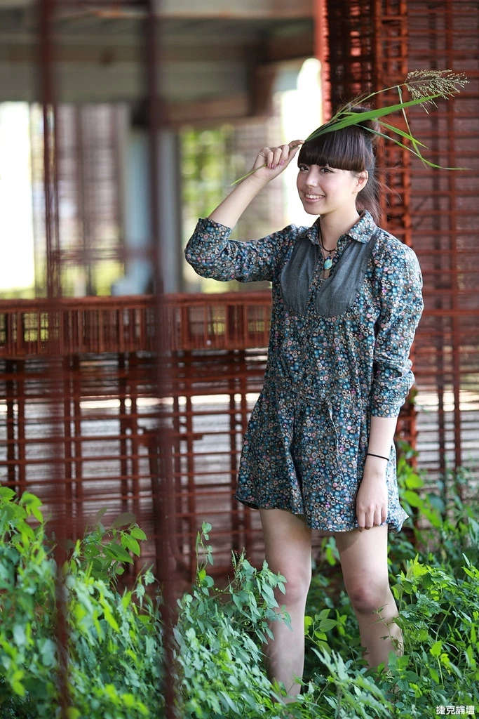 17509175.webp