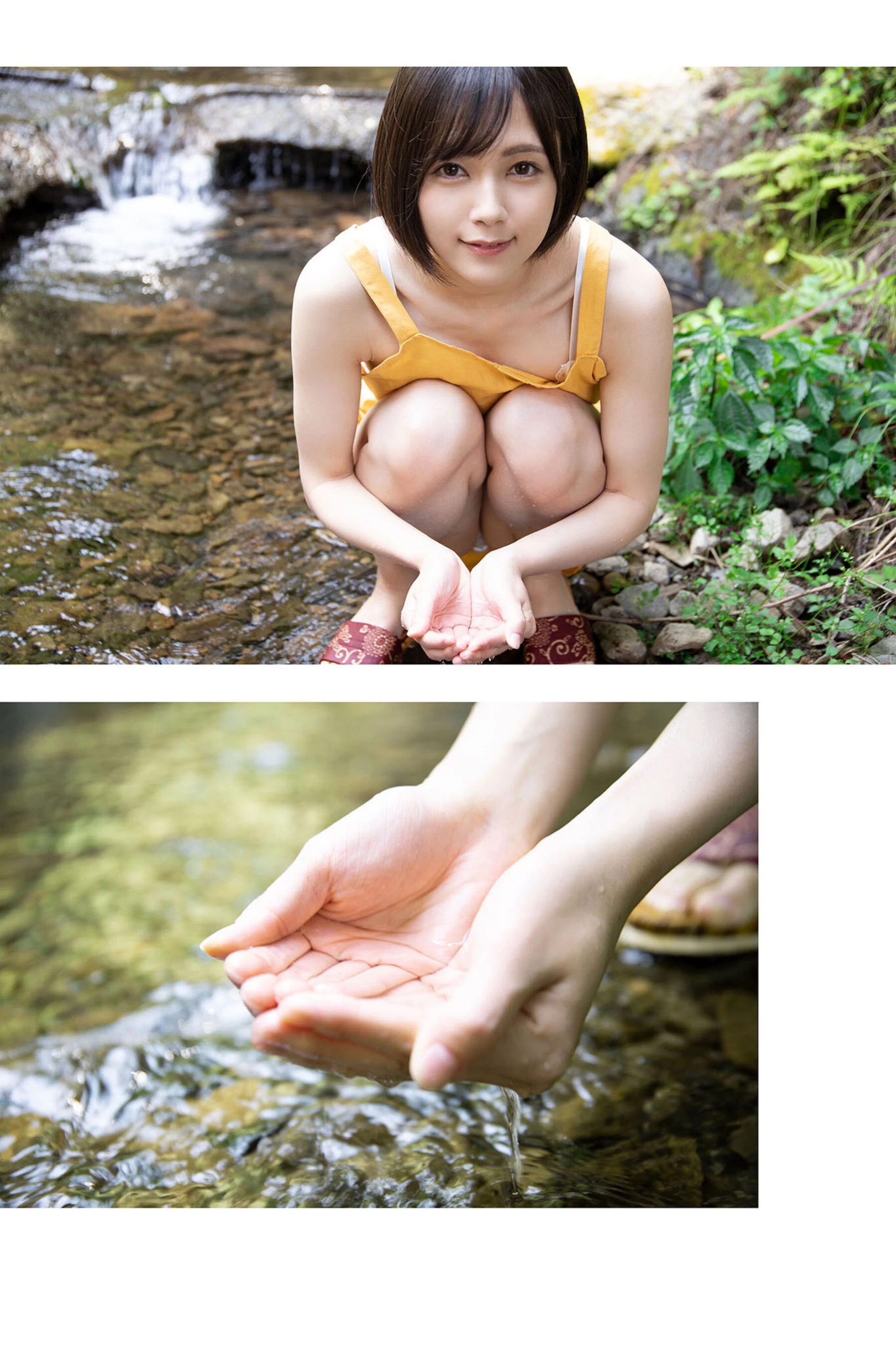 31369162.webp