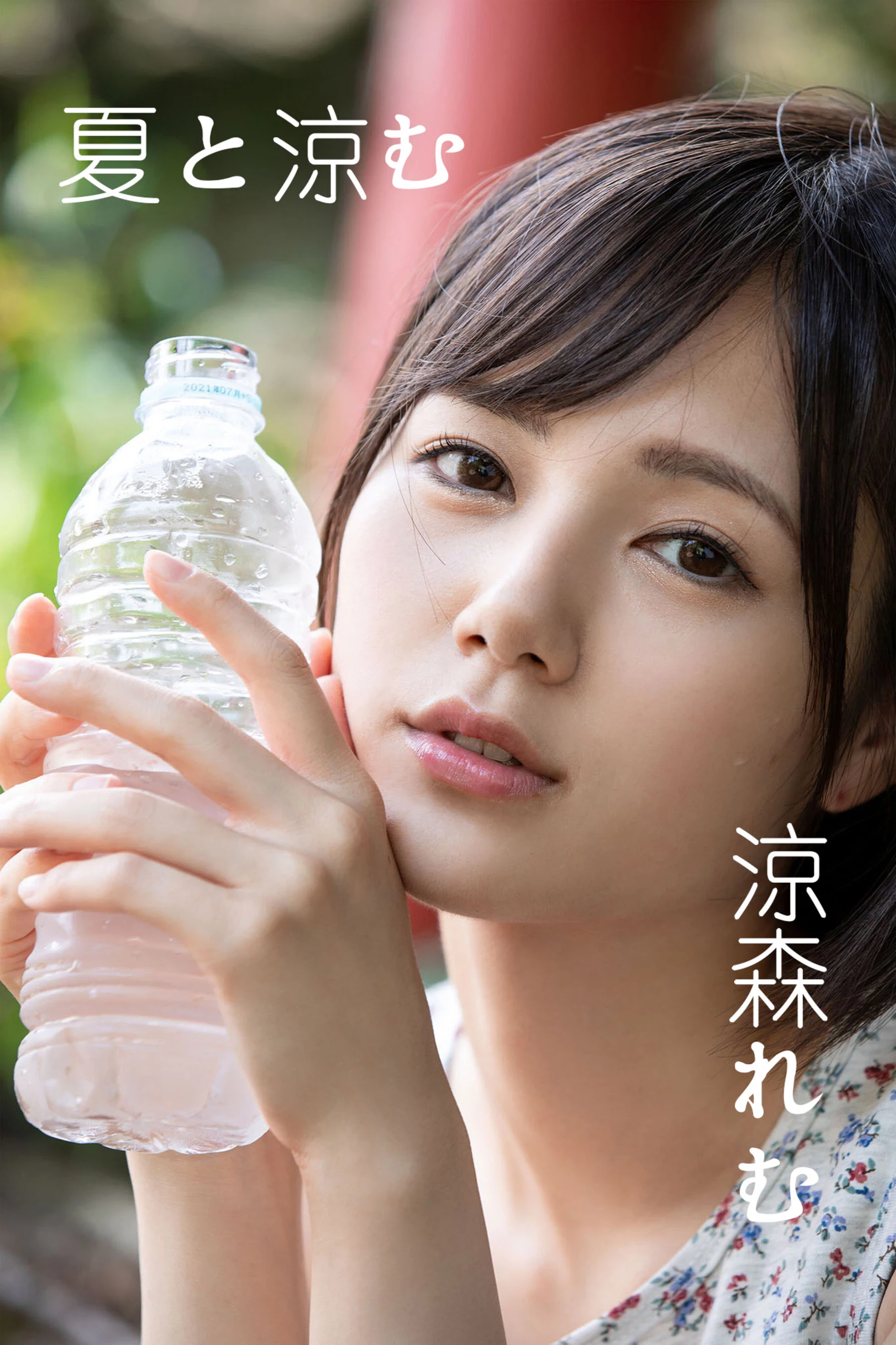 31369149.webp