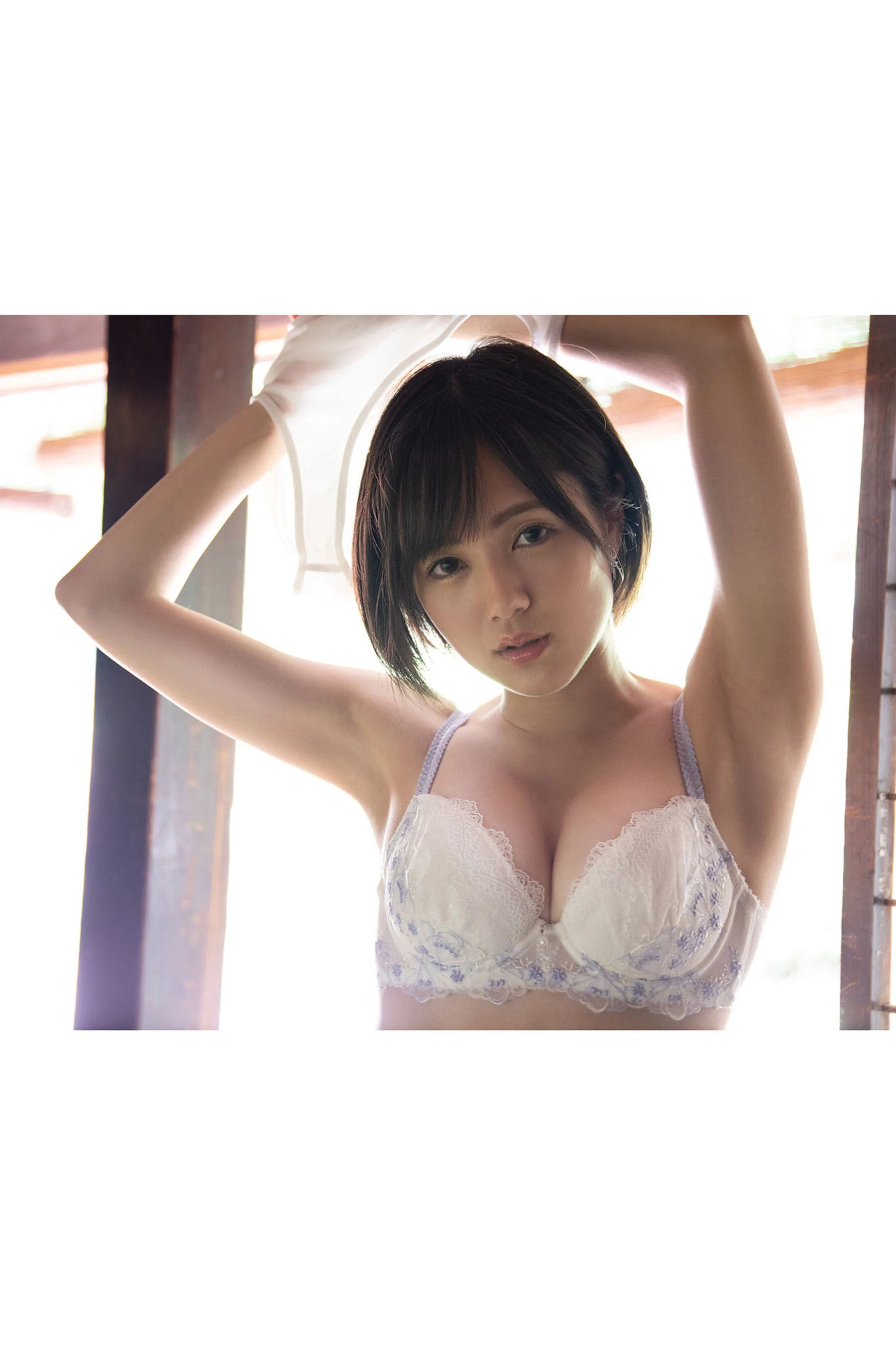31369184.webp