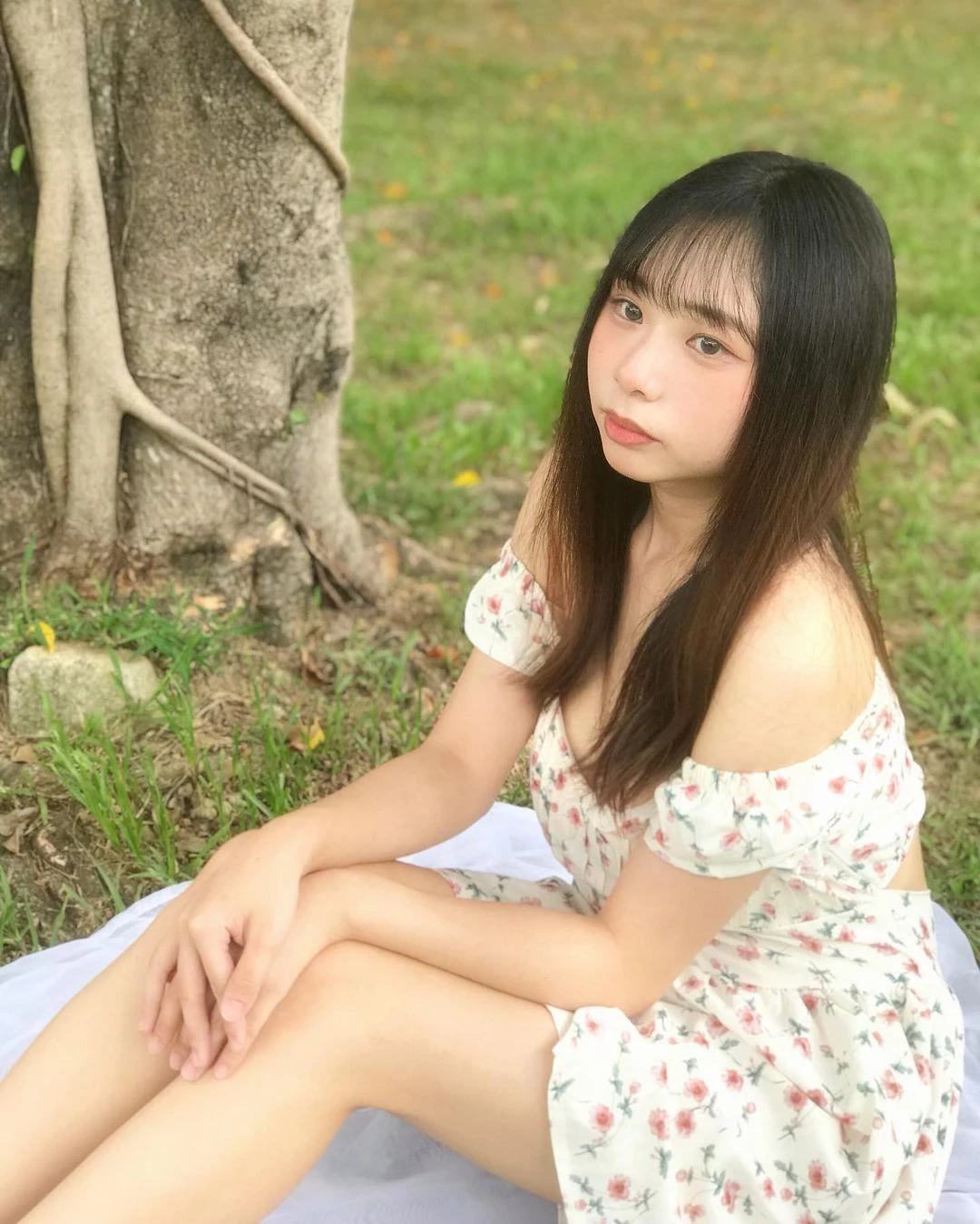 31207754.webp