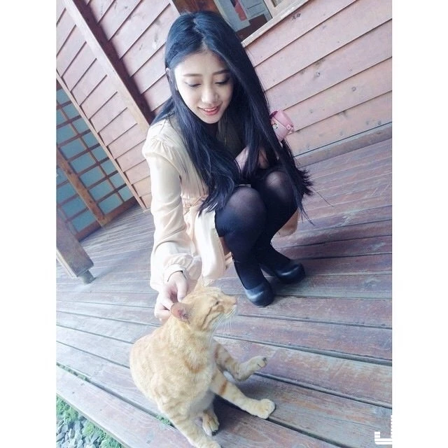16810337.webp