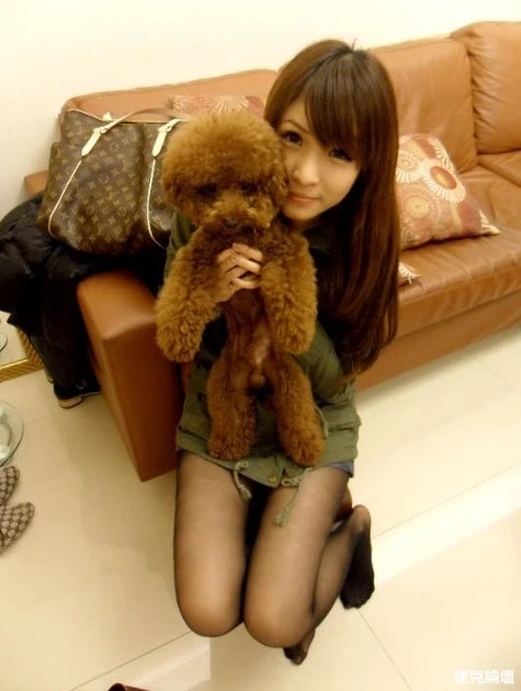 17306632.webp