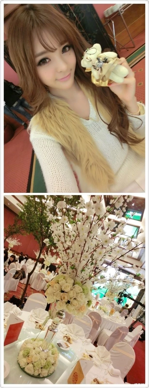 17300188.webp