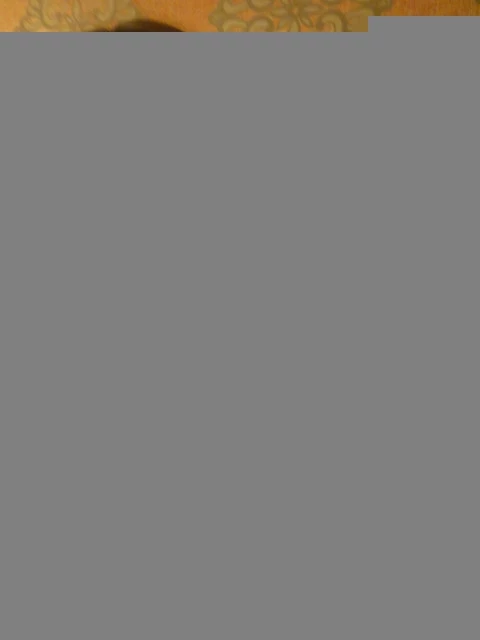 16873744.webp