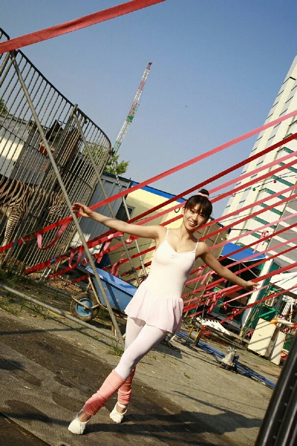 17606453.webp