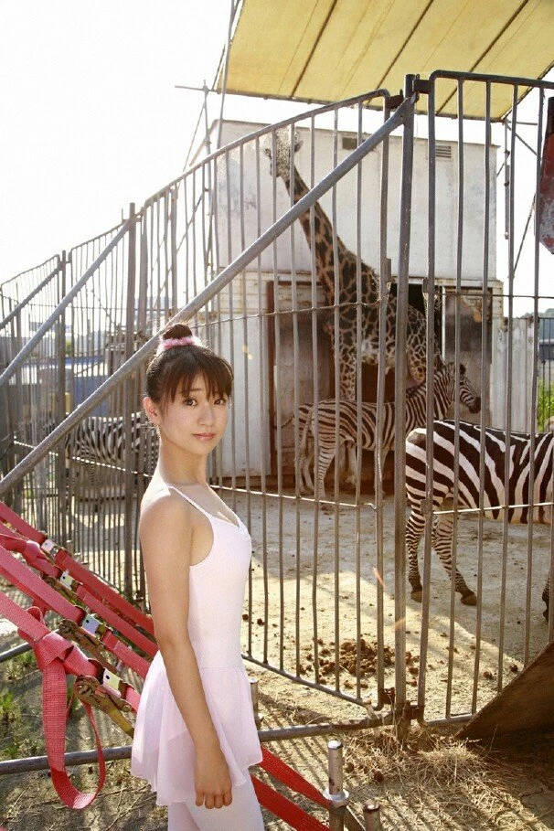 17606451.webp