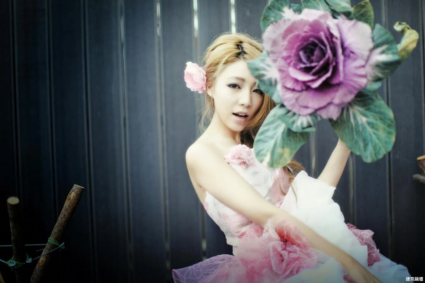 17312669.webp