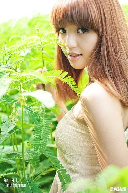 17560230.webp