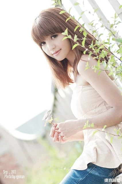 17560229.webp