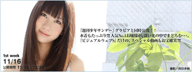 17612451.webp