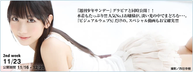 17612466.webp