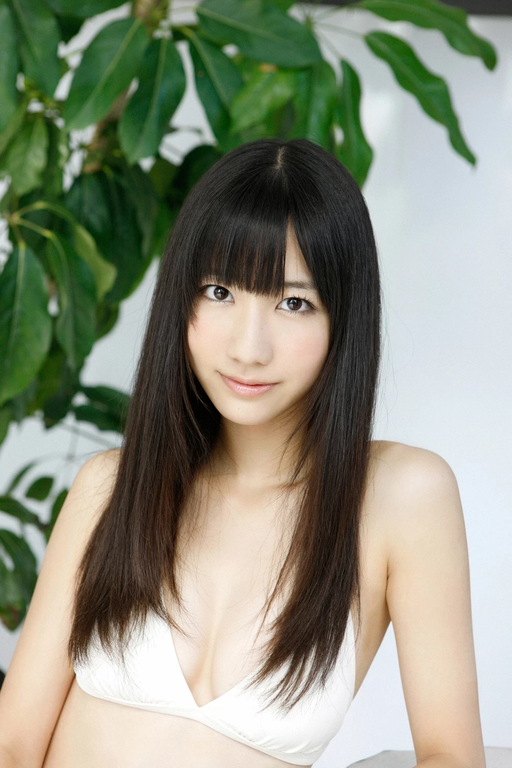 17612482.webp
