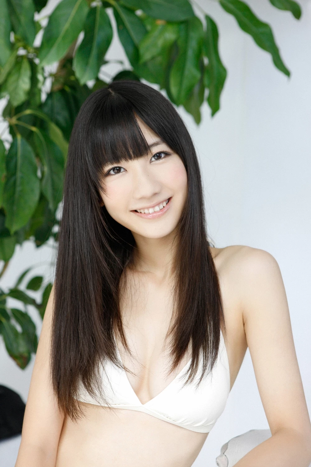 17612483.webp