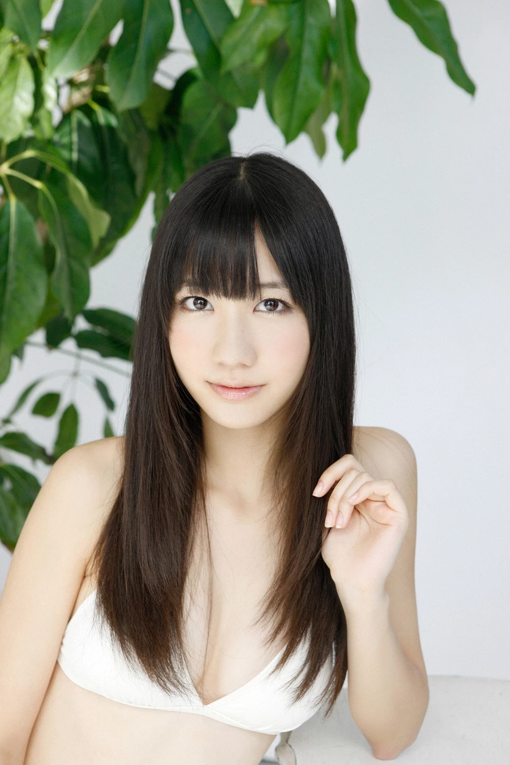 17612485.webp