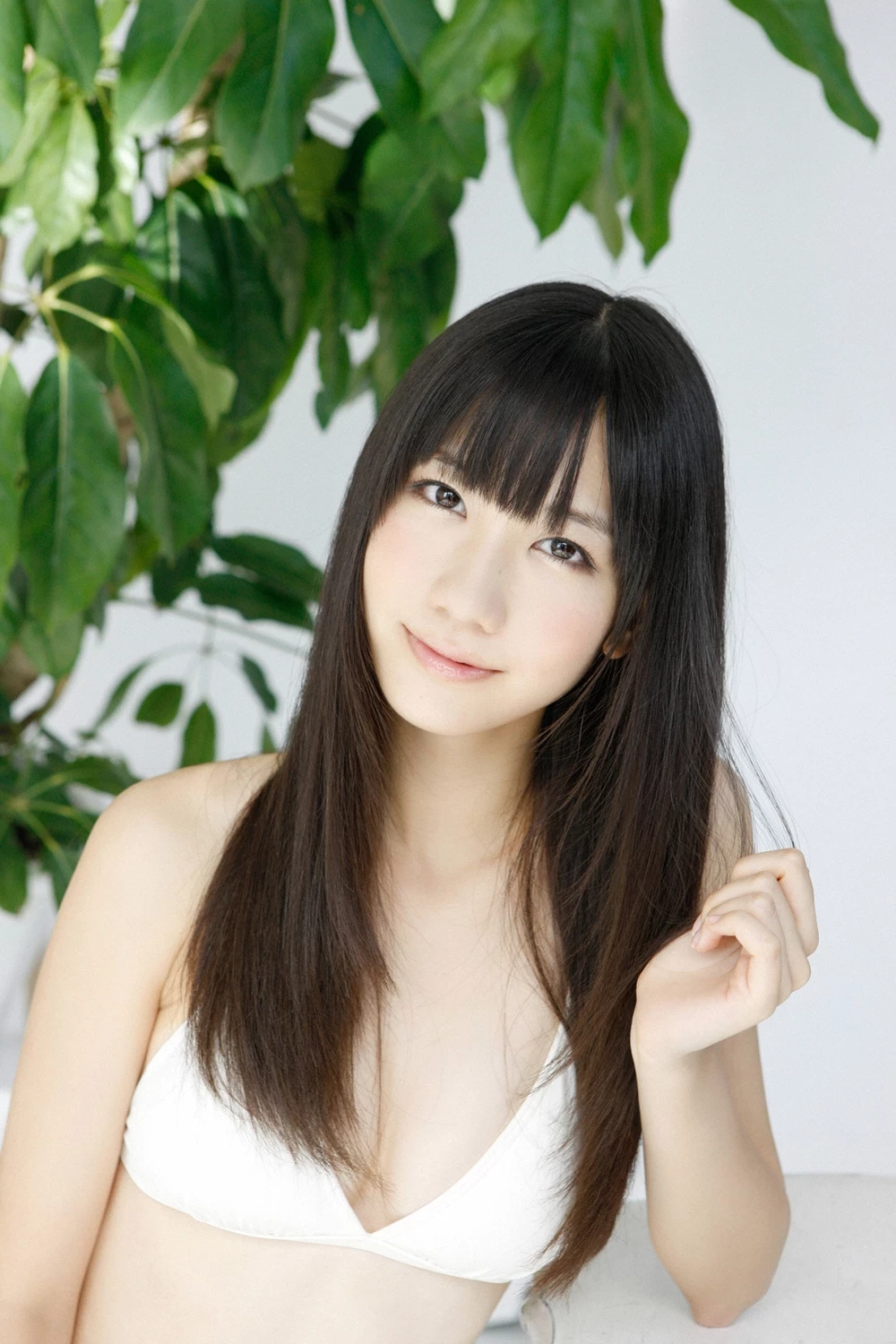 17612486.webp