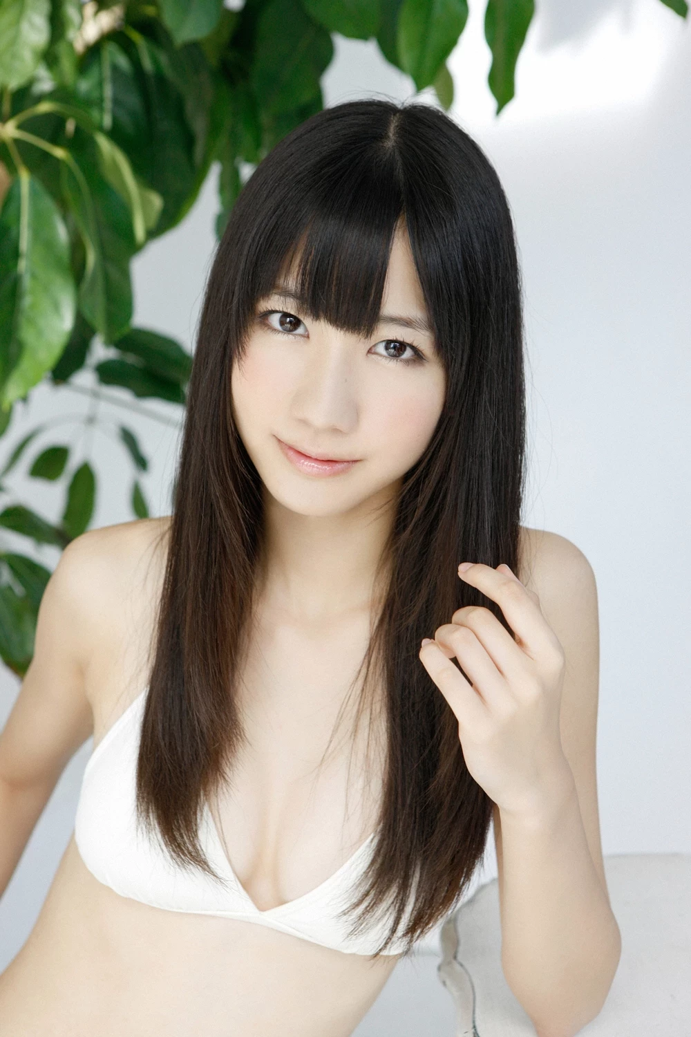 17612487.webp