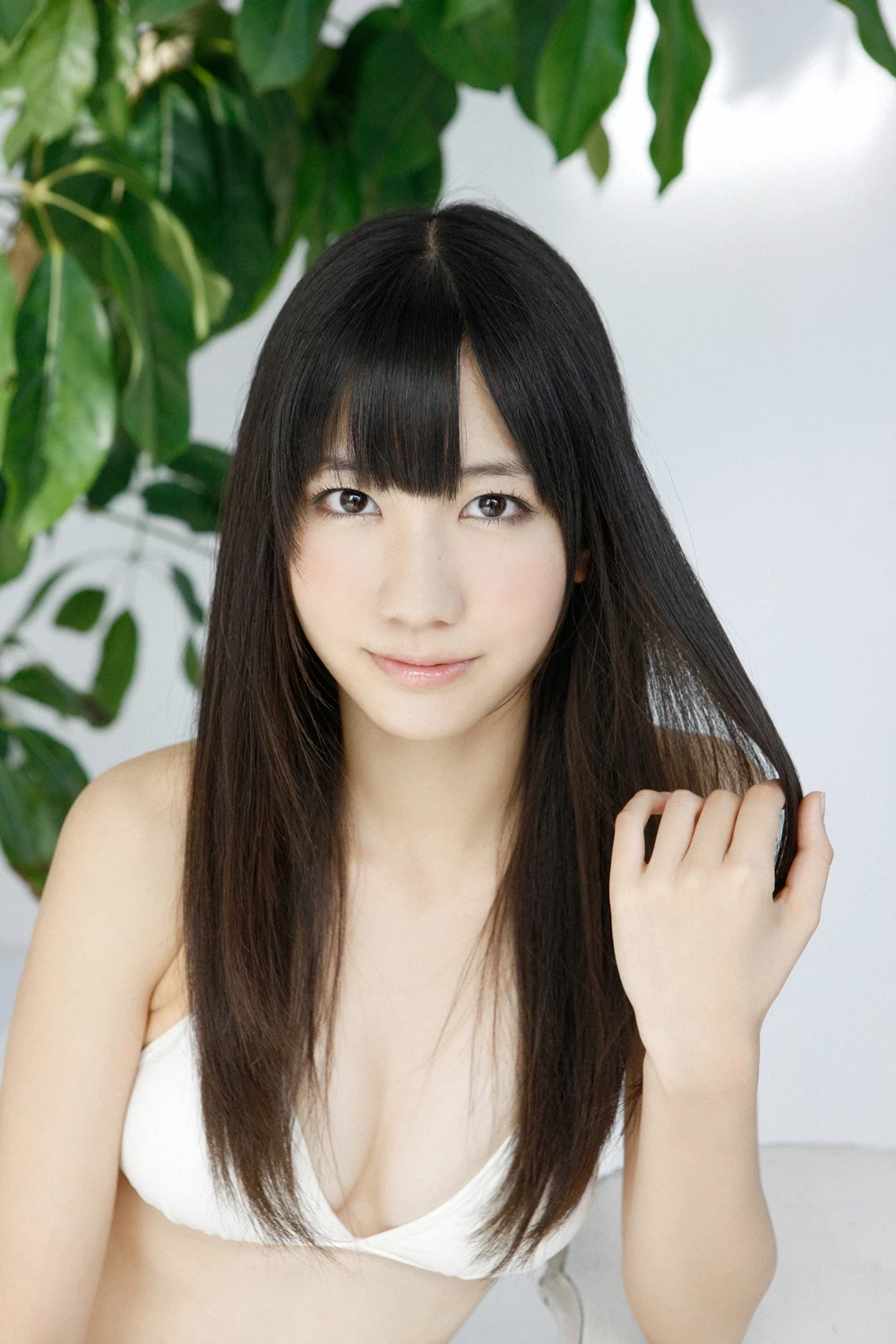 17612488.webp