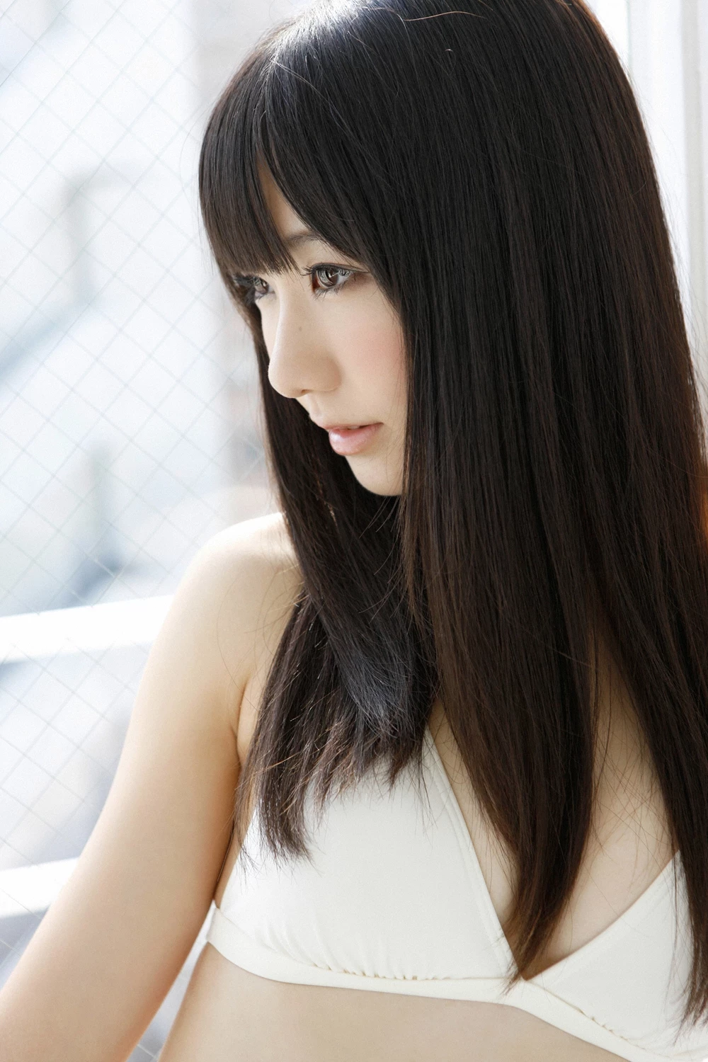 17612493.webp