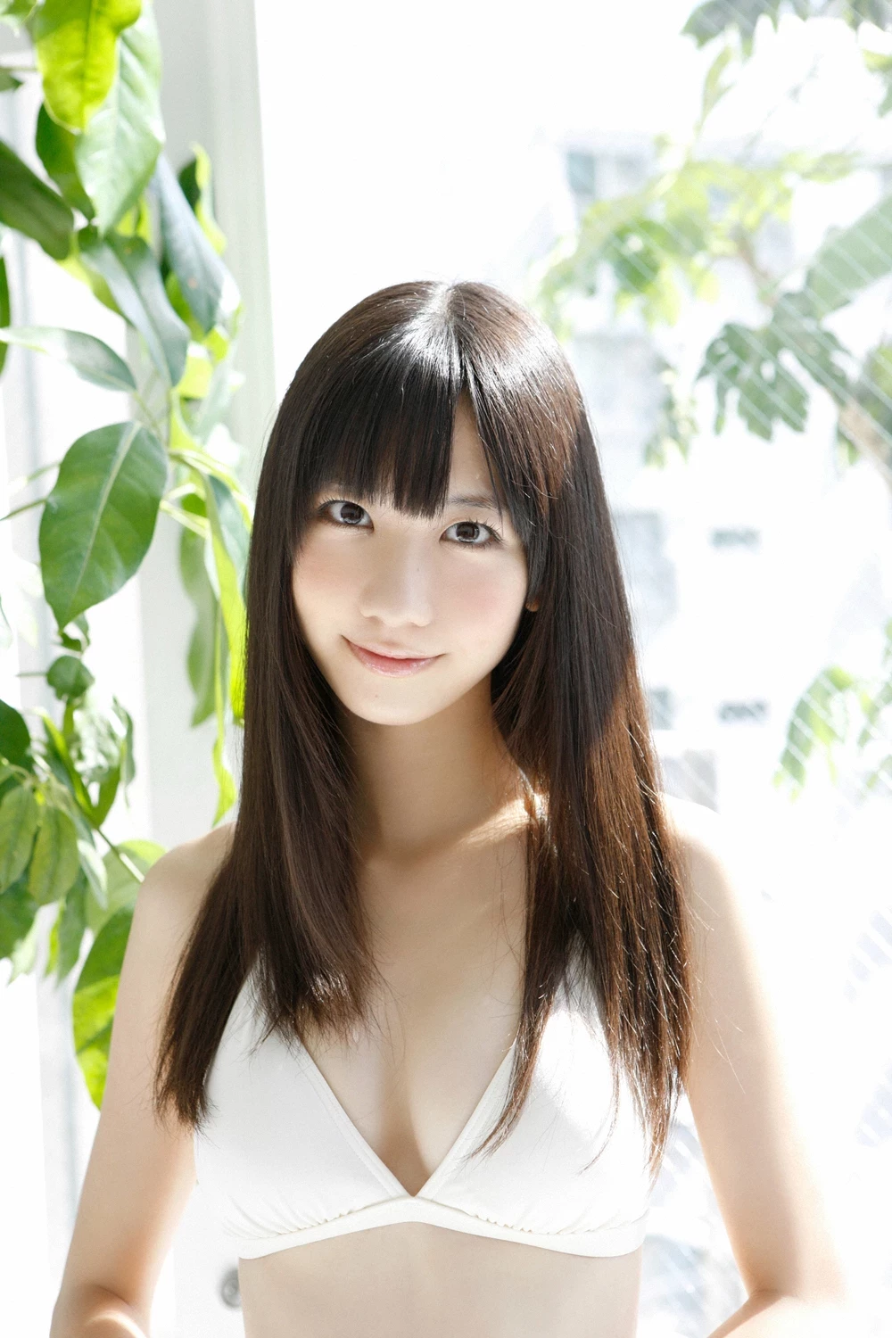 17612502.webp