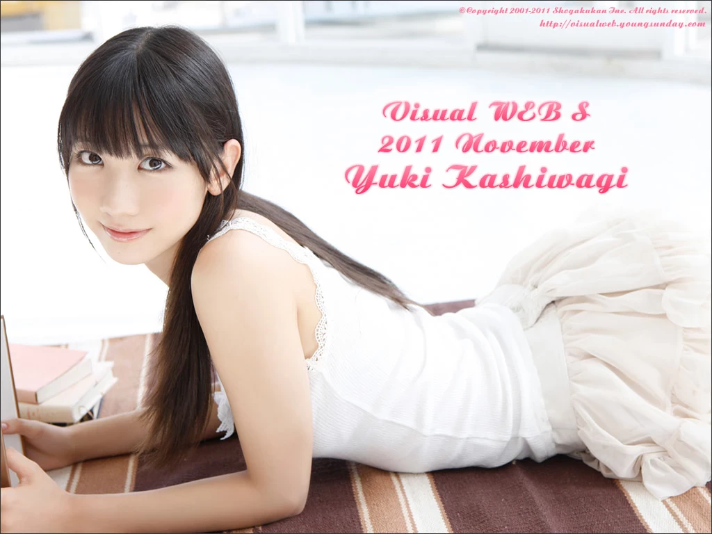 17612509.webp