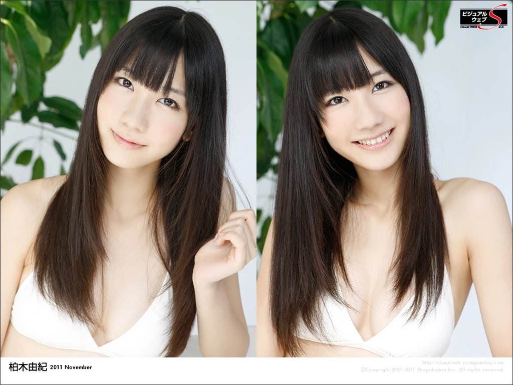 17612508.webp