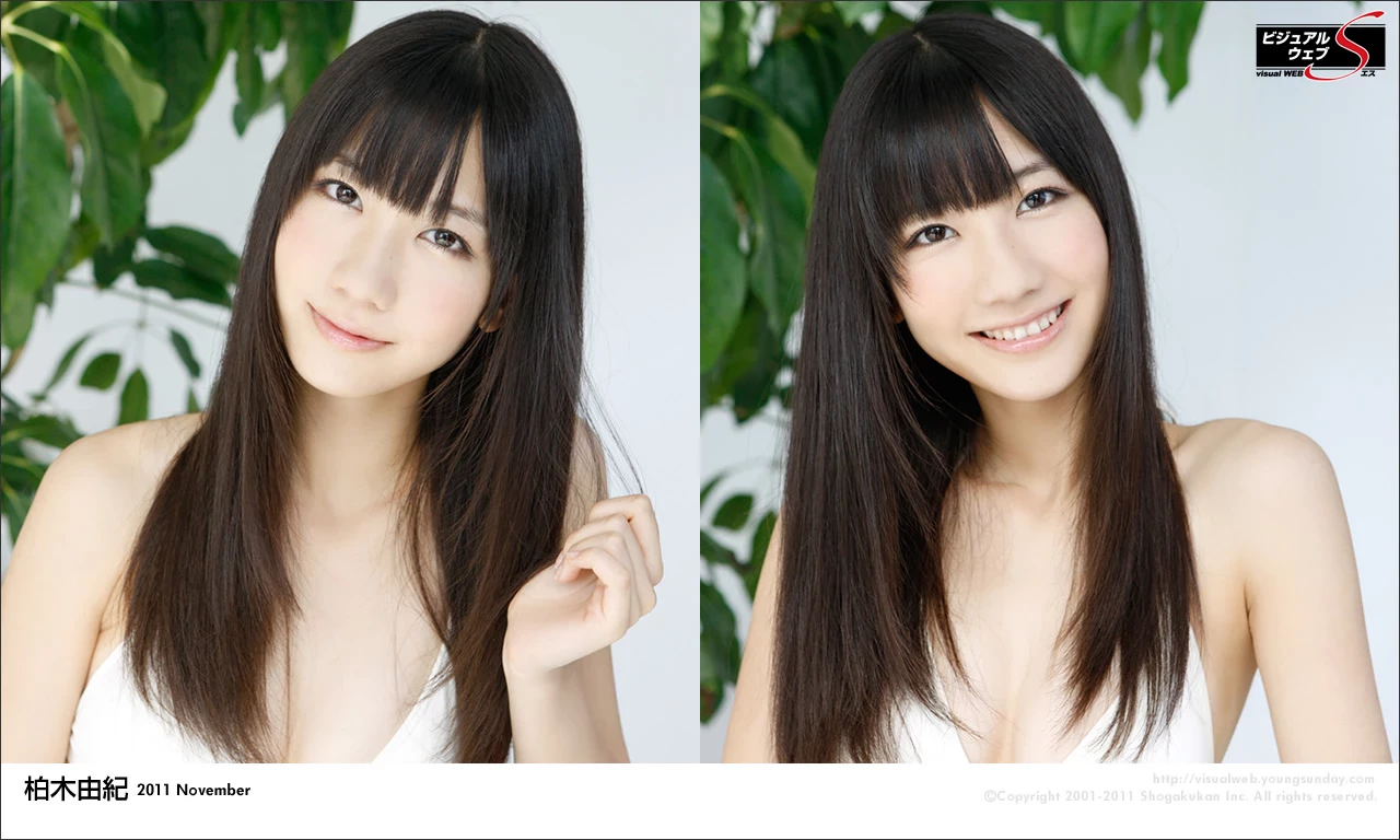 17612511.webp