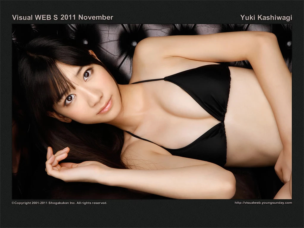 17612510.webp