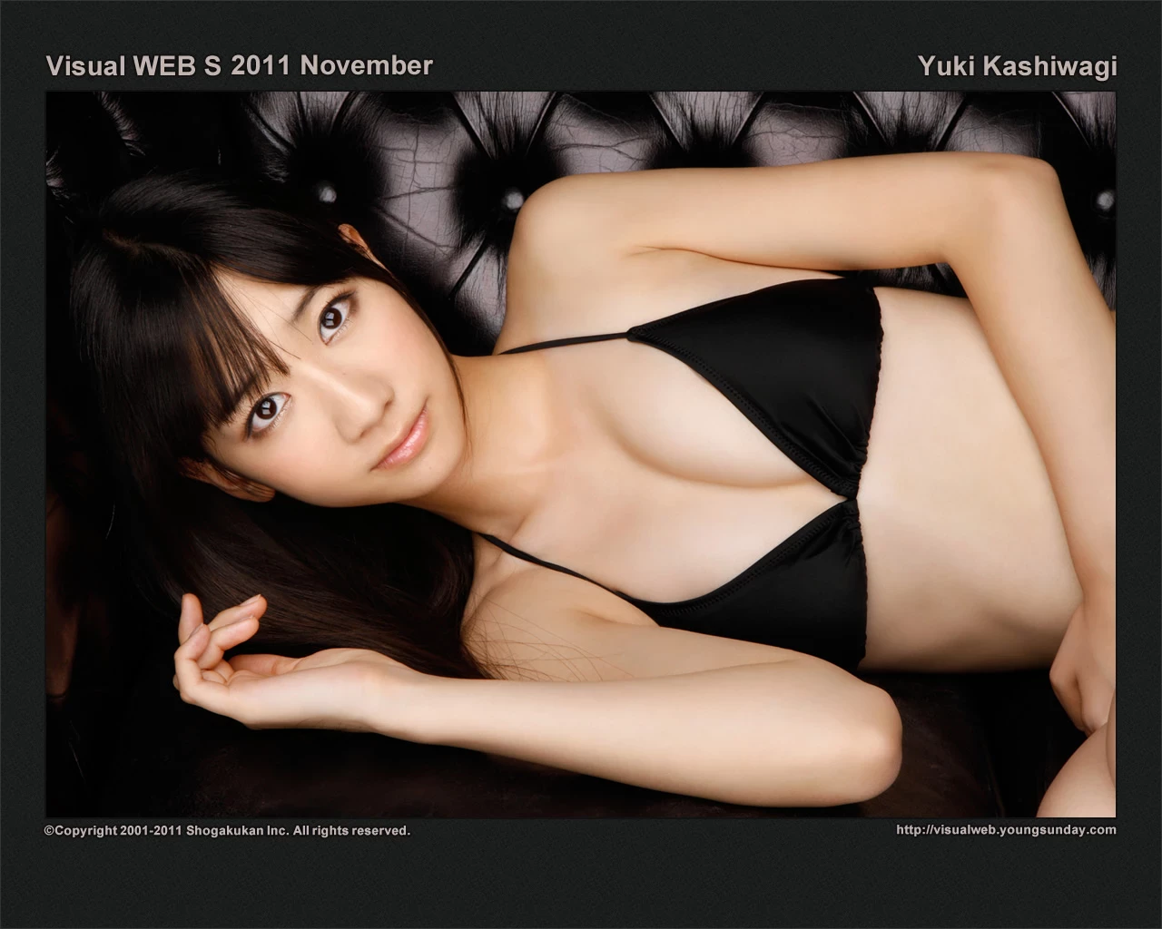 17612516.webp