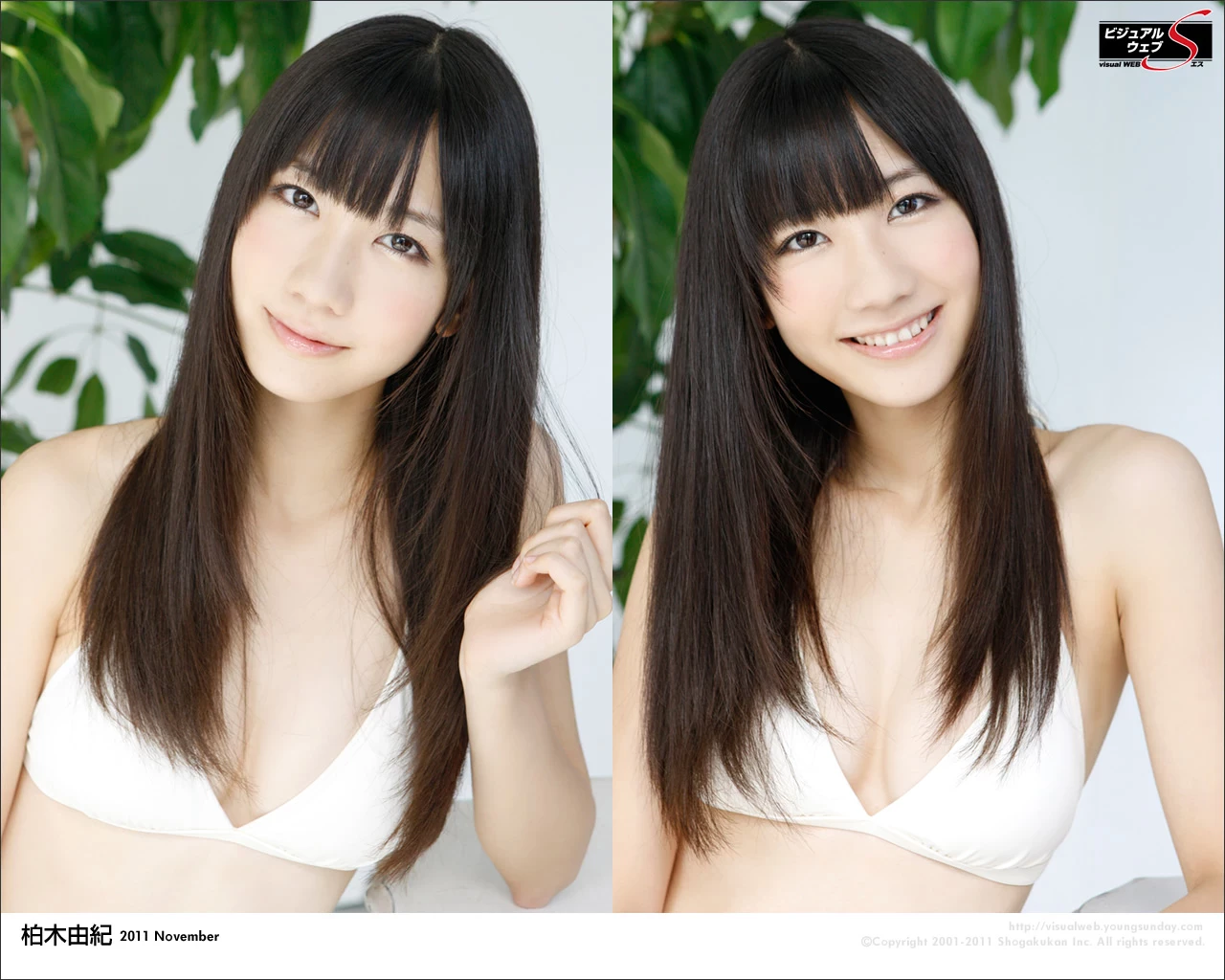 17612514.webp