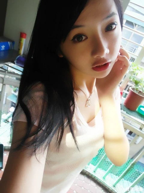 17365630.webp