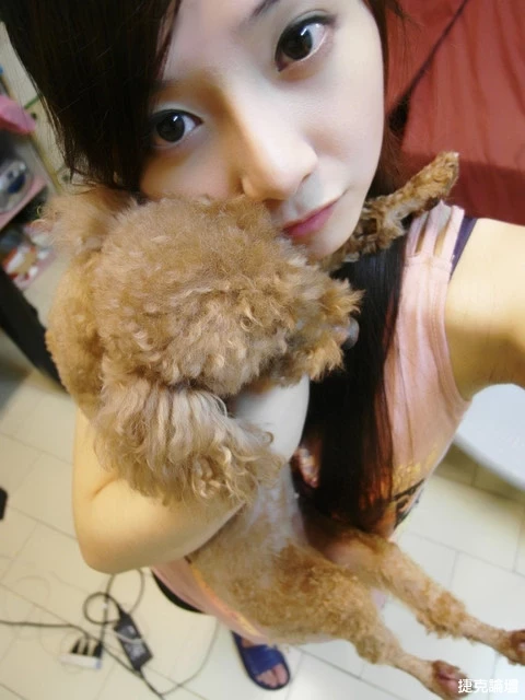 17365671.webp