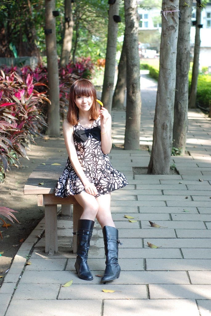 17324783.webp