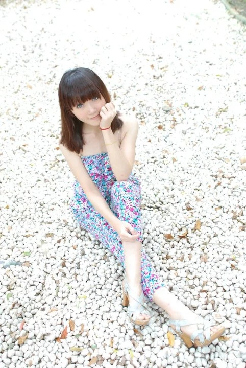 17324813.webp
