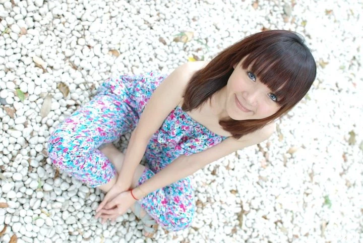 17324819.webp