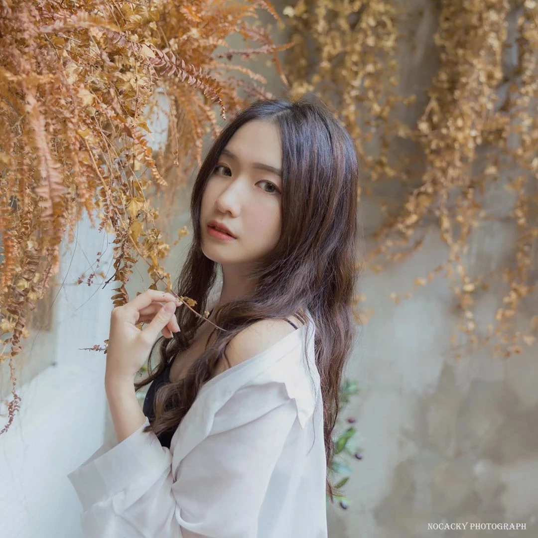 4144003.webp