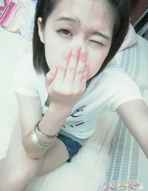 17677187.webp