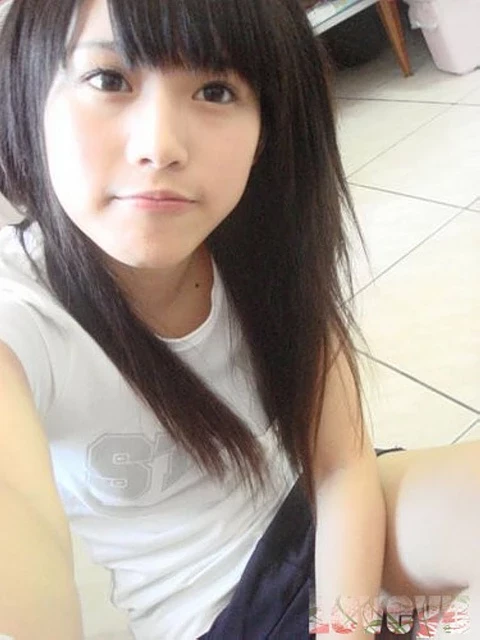 17677188.webp