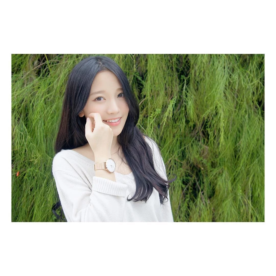 16798578.webp