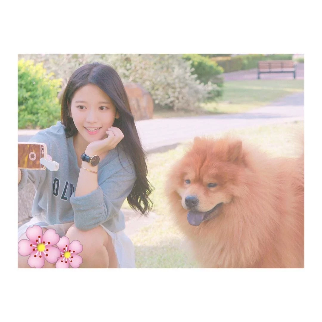 16798584.webp