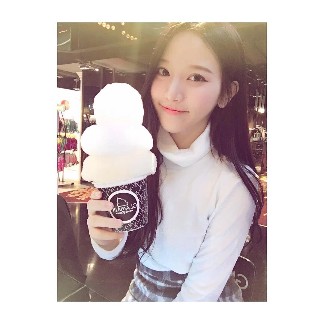 16798609.webp