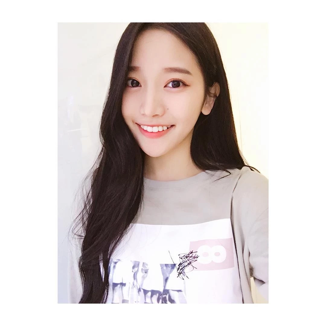 16798635.webp