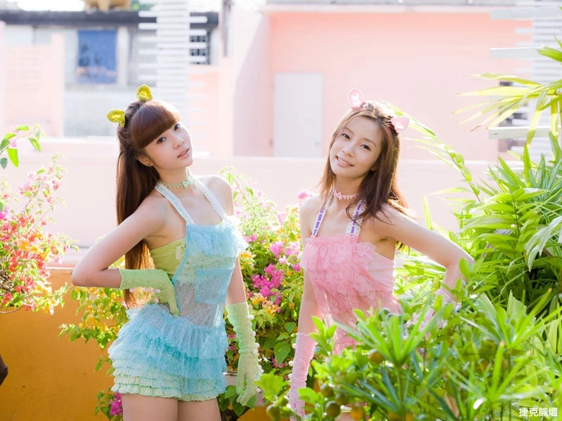 17542564.webp