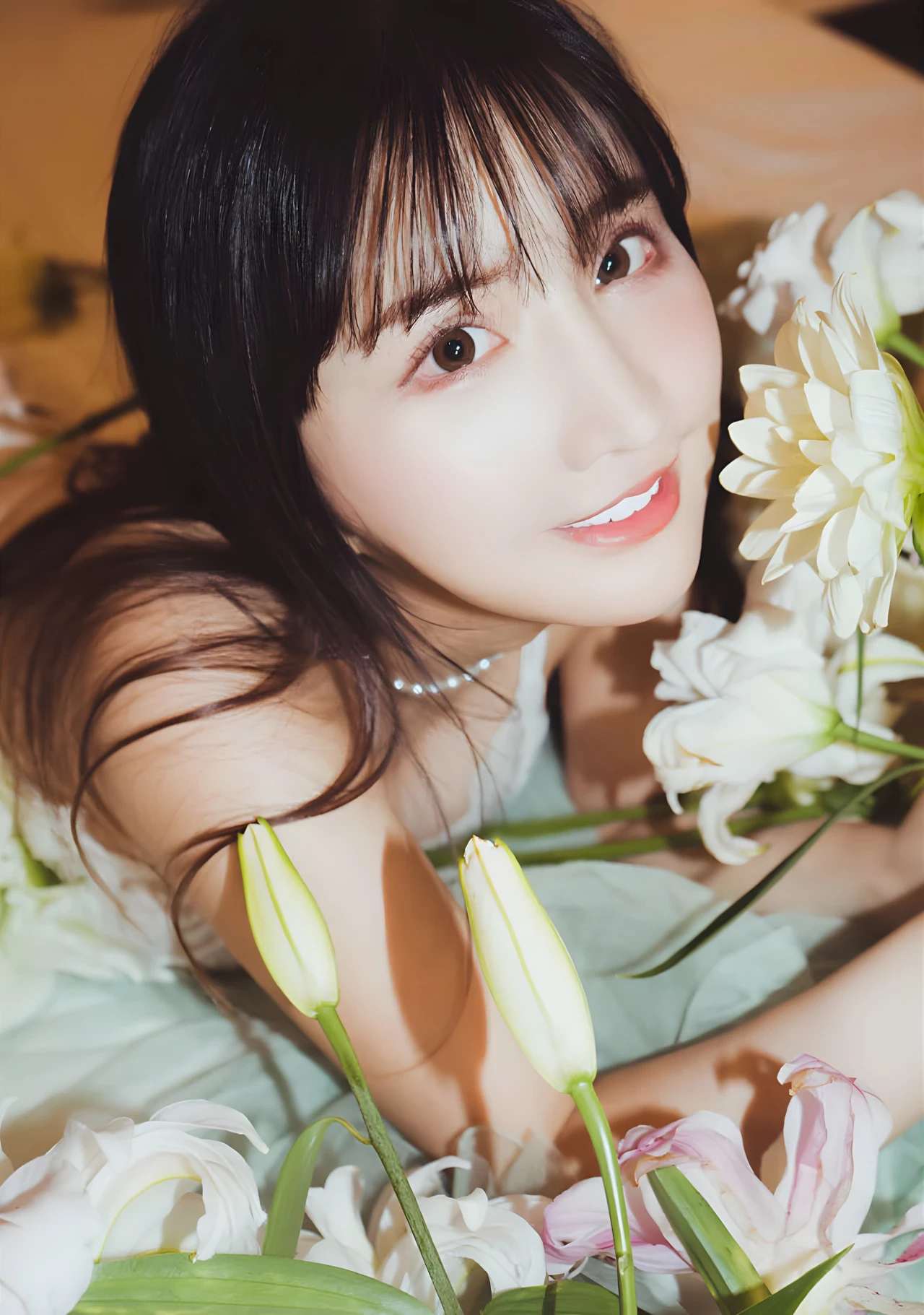 31281800.webp