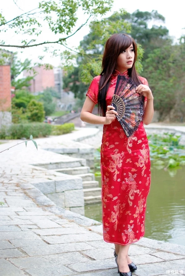 17458455.webp