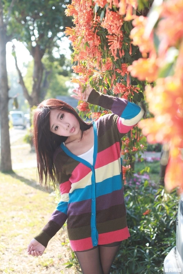 17458464.webp